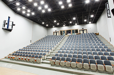 Concert Hall Seats
